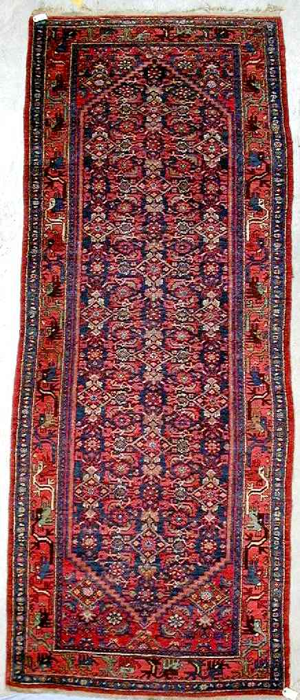 Zanjan Rugs: Khamseh Kurdish Corridor Persian Carpet W&W 