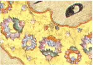Calligraphy signed by Ali al-Kateb (Mir Ali) 7. Bokhara circa 1540. This Turanian calligraphy was know to be in Mughal India prior to 1650 because of margin painting when the piece was remounted. 