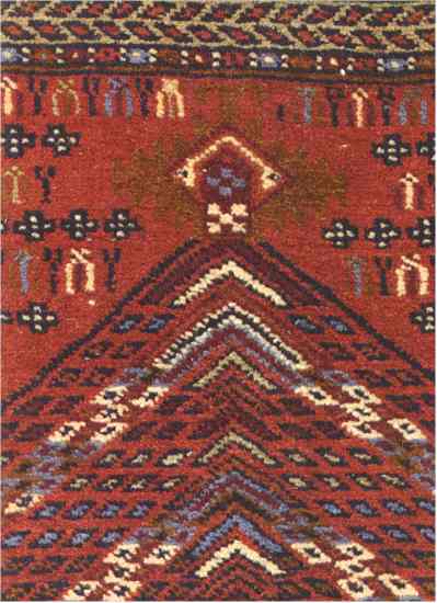 Oriental Rugs: Unusual Turkmen Salanchak