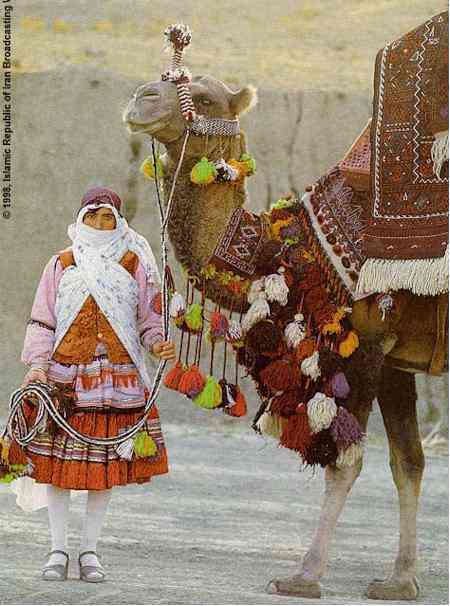 Persian Rugs/Kurdish Rugs: First Day of Kurdish Migration